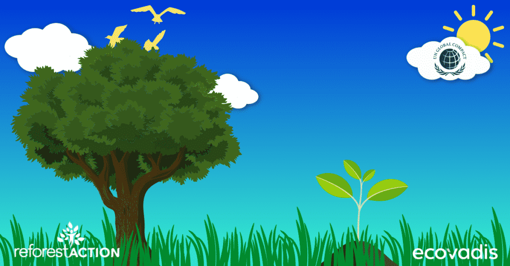 Vignette vidéo avec arbre - Émission Release Microsoft et Green IT - Activops