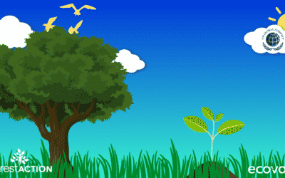 Nos résolutions Green IT & RSE pour 2022