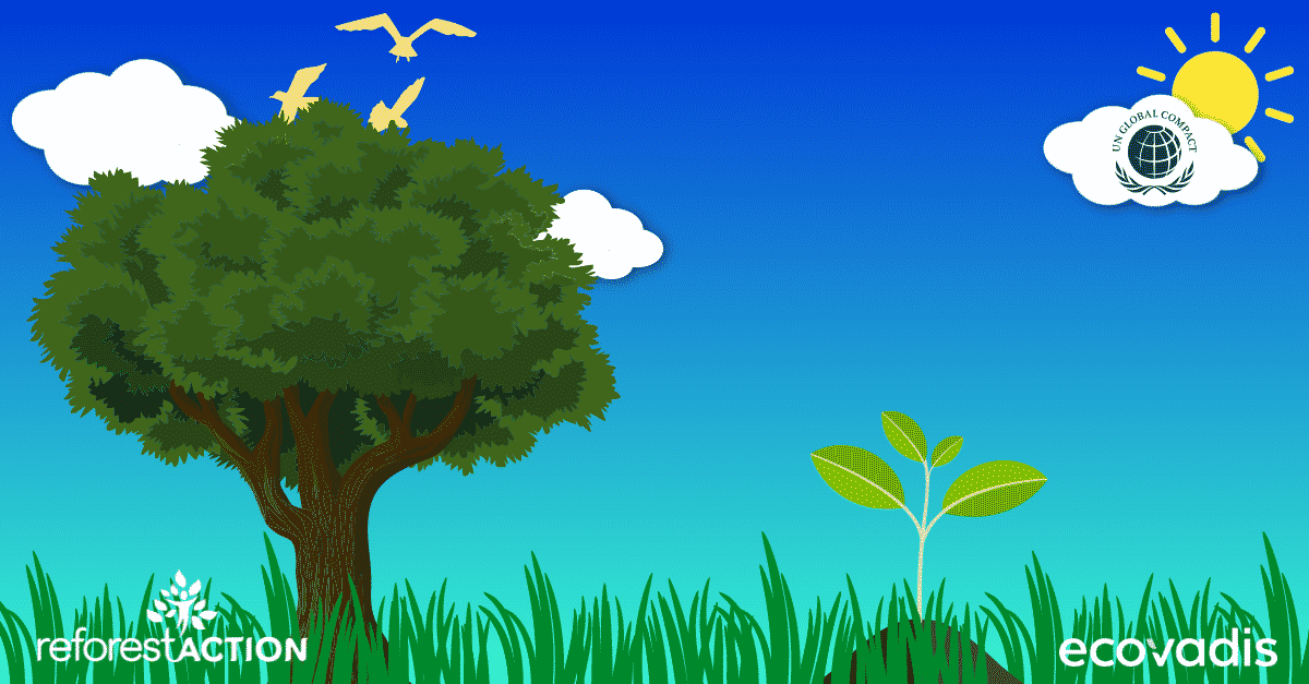 résolutions Green IT RSE